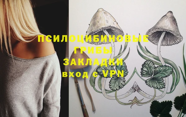 винт Абаза
