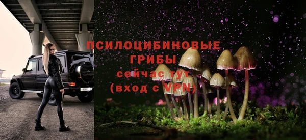 винт Абаза