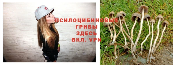 винт Абаза