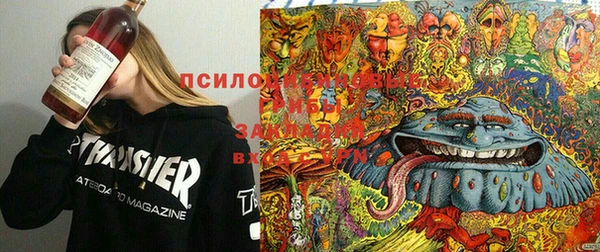 винт Абаза