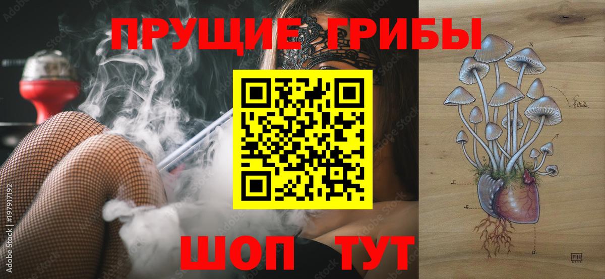 Псилоцибиновые грибы прущие грибы  Галлюциногенные грибы ЛСД  Великий Новгород  Вход с VPN 