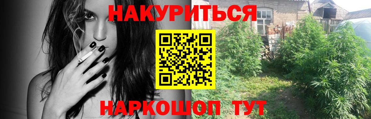 Великий Новгород  Канабис гибрид  Вход с VPN  МАРИХУАНА планчик 